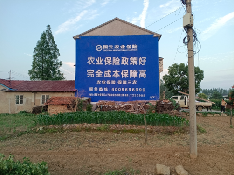 鹤峰墙体广告的优劣势你知道吗？